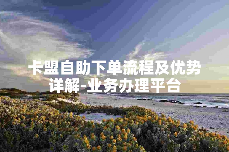 卡盟自助下单流程及优势详解-业务办理平台