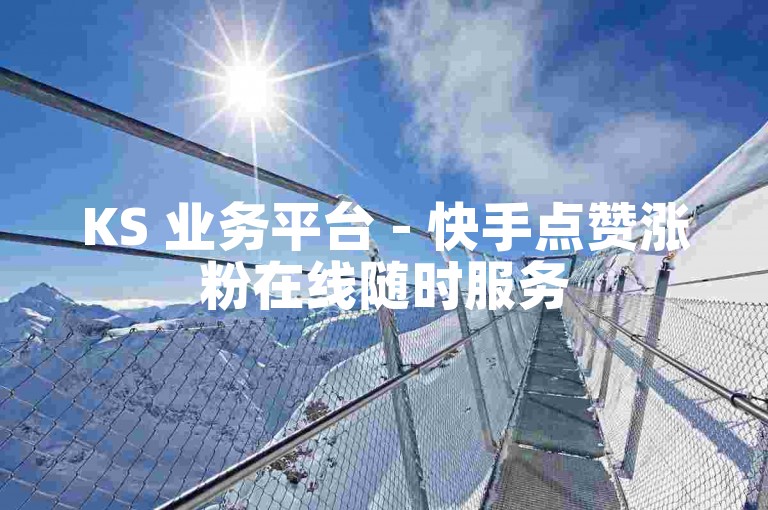 KS 业务平台 - 快手点赞涨粉在线随时服务