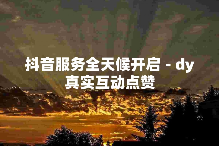 抖音服务全天候开启 - dy真实互动点赞