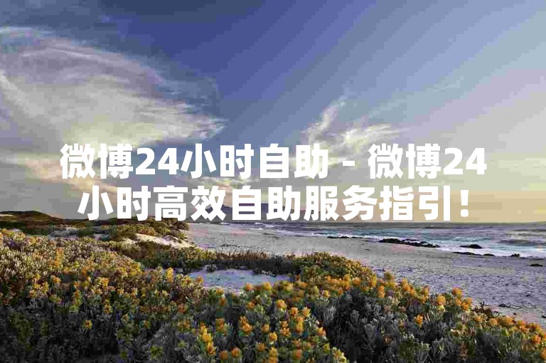 微博24小时自助 - 微博24小时高效自助服务指引！