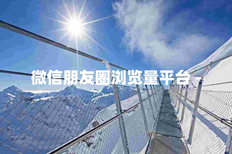 微信朋友圈浏览量平台 -