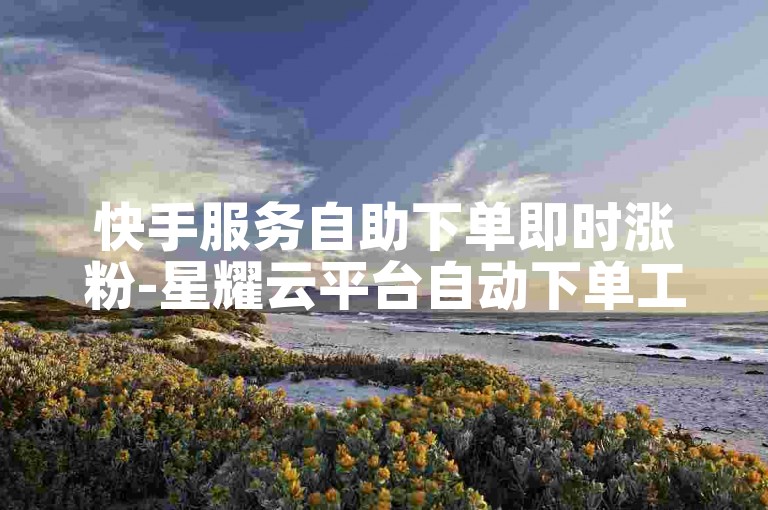 快手服务自助下单即时涨粉-星耀云平台自动下单工具名称
