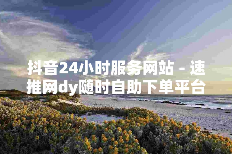 抖音24小时服务网站 - 速推网dy随时自助下单平台
