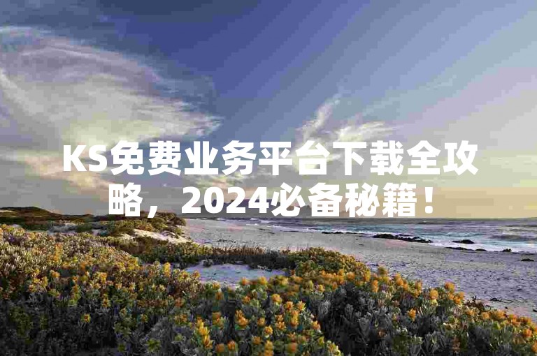 KS免费业务平台下载全攻略，2024必备秘籍！
