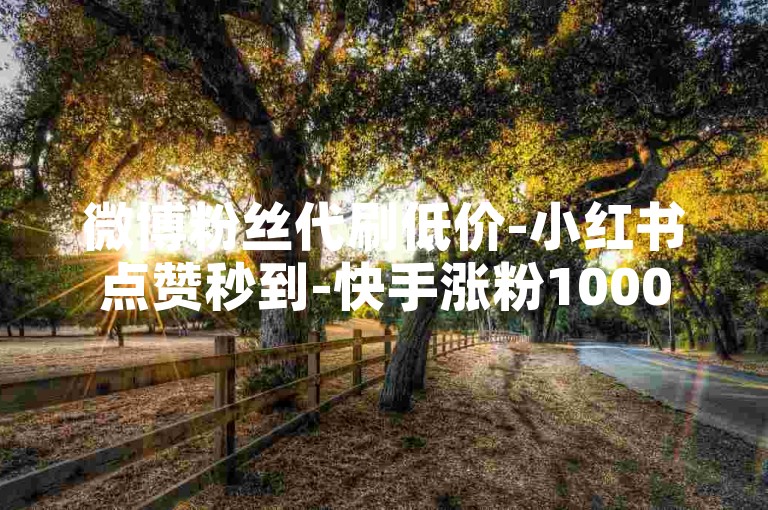 微博粉丝代刷低价-小红书点赞秒到-快手涨粉1000起-自助平台超实惠