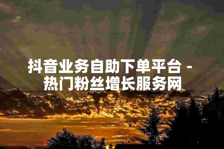 抖音业务自助下单平台 - 热门粉丝增长服务网