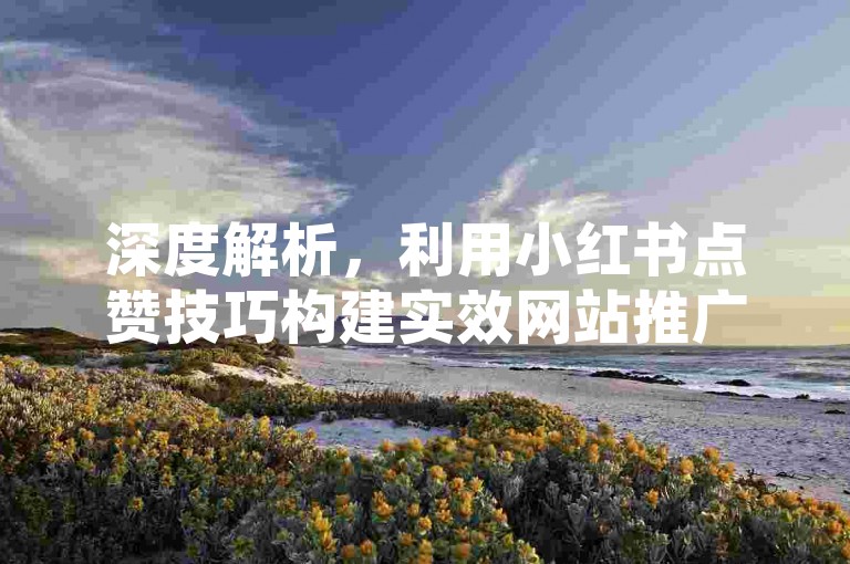 深度解析，利用小红书点赞技巧构建实效网站推广方案！小红书业务24小时自助下单-直播互动数据提升平台揭秘！