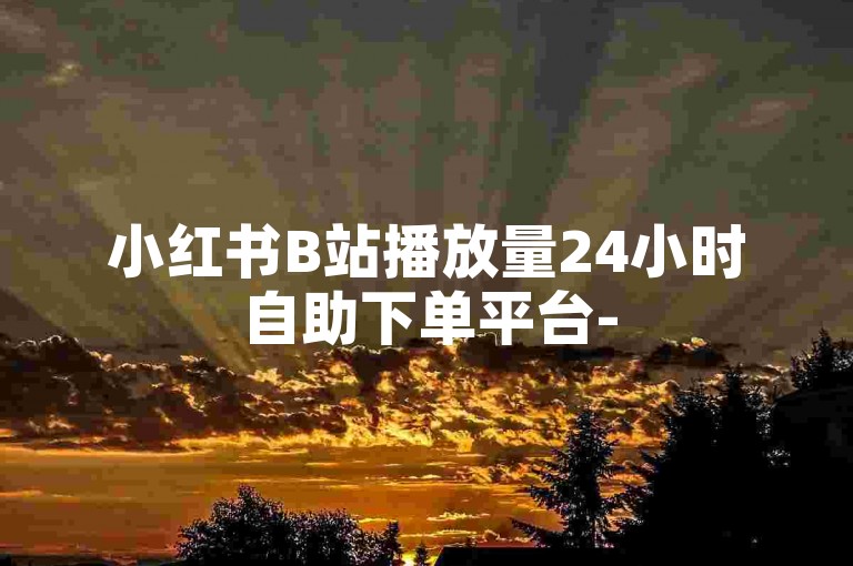 小红书B站播放量24小时自助下单平台-