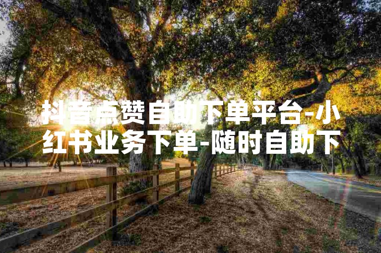 抖音点赞自助下单平台-小红书业务下单-随时自助下单-全天在线平台