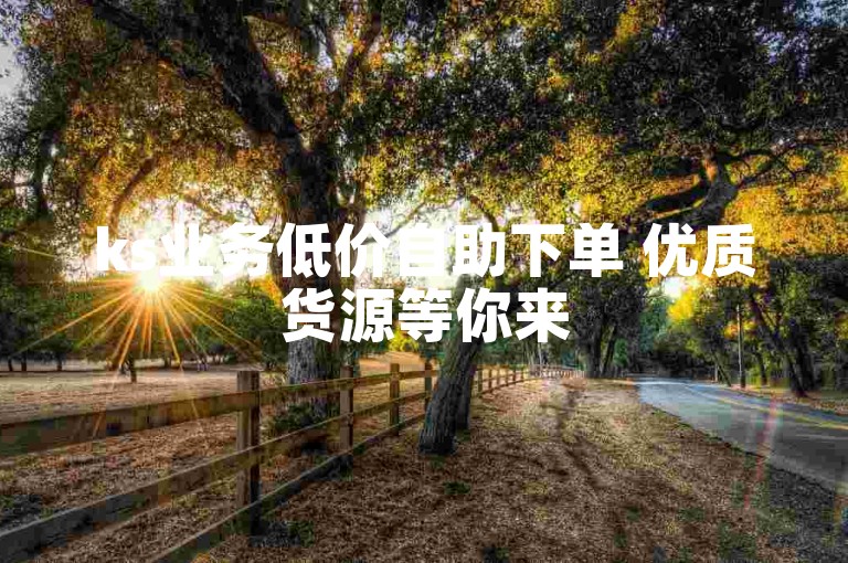 ks业务低价自助下单 优质货源等你来