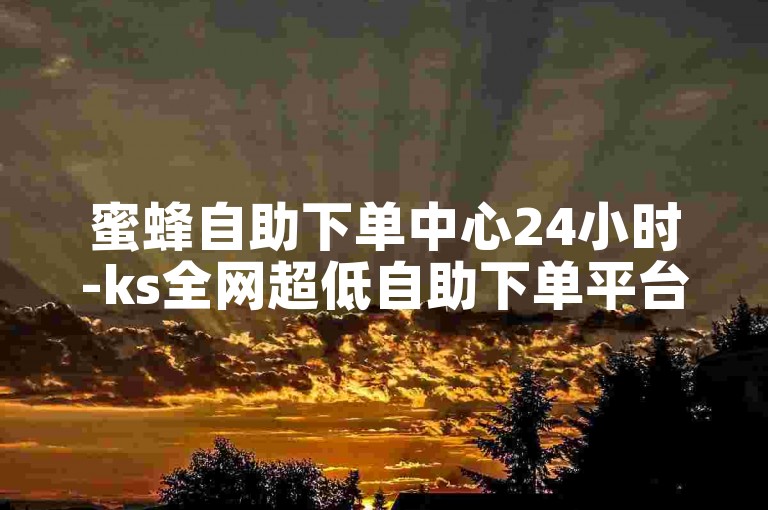 蜜蜂自助下单中心24小时-ks全网超低自助下单平台-ks业务实惠自助下单点赞-快手24小时自助服务站点