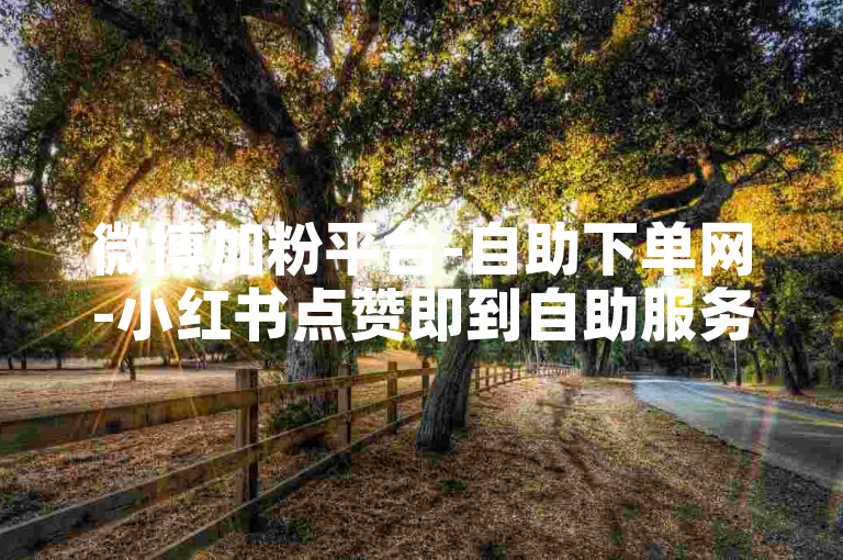微博加粉平台-自助下单网-小红书点赞即到自助服务-论坛顶帖在线站点