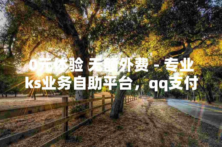 0元体验 无额外费 - 专业ks业务自助平台，qq支付便捷，抖店无货源运营攻略