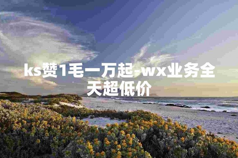 ks赞1毛一万起-wx业务全天超低价