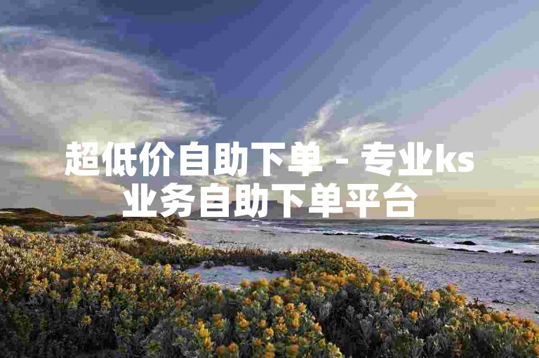 超低价自助下单 - 专业ks业务自助下单平台