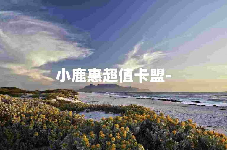 小鹿惠超值卡盟-