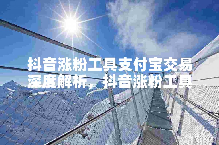 抖音涨粉工具支付宝交易深度解析，抖音涨粉工具支付宝交易，助力你玩转短视频流量！2025必备