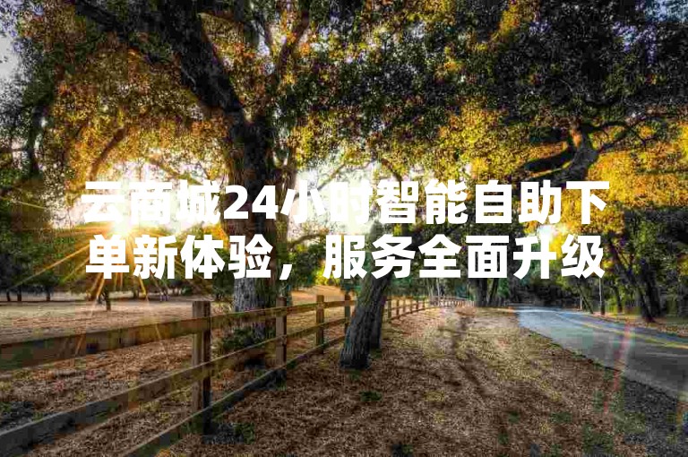 云商城24小时智能自助下单新体验，服务全面升级！2025必备技能-