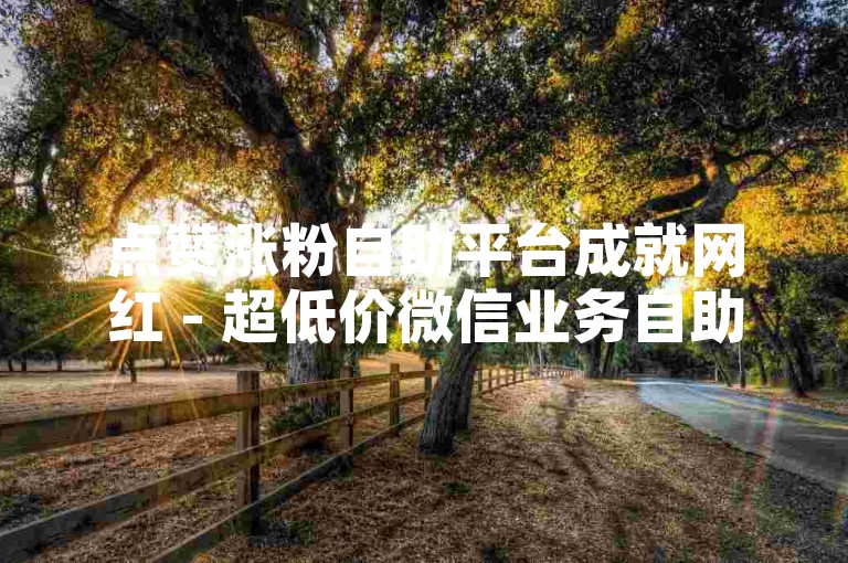 点赞涨粉自助平台成就网红 - 超低价微信业务自助下单中心