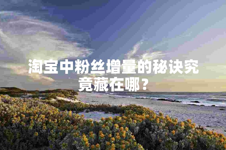 淘宝中粉丝增量的秘诀究竟藏在哪？
