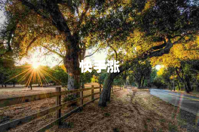 快手涨500粉通道 - 快手平台超低价优惠等你来