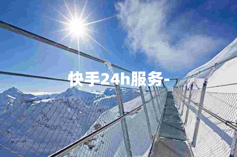 快手24h服务-