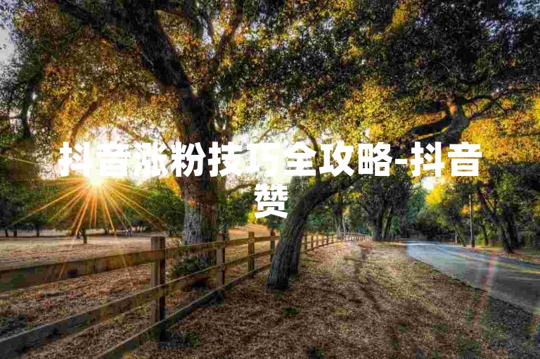 抖音涨粉技巧全攻略-抖音赞5分500