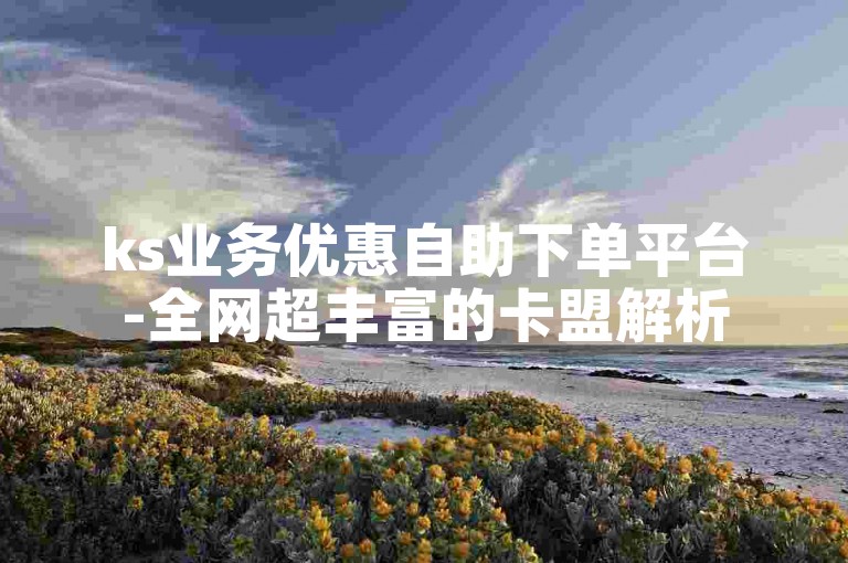ks业务优惠自助下单平台-全网超丰富的卡盟解析