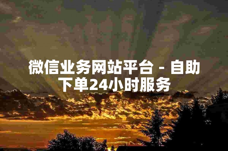 微信业务网站平台 - 自助下单24小时服务