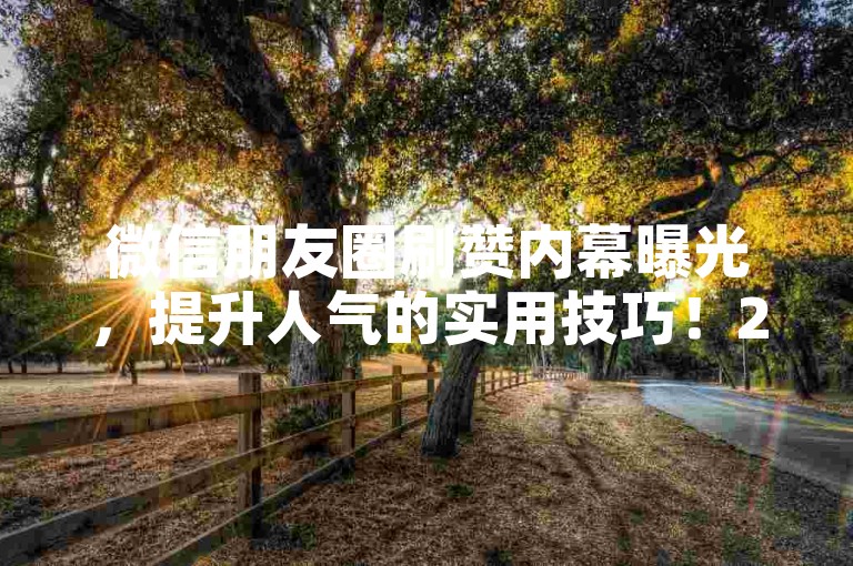 微信朋友圈刷赞内幕曝光，提升人气的实用技巧！2025必备