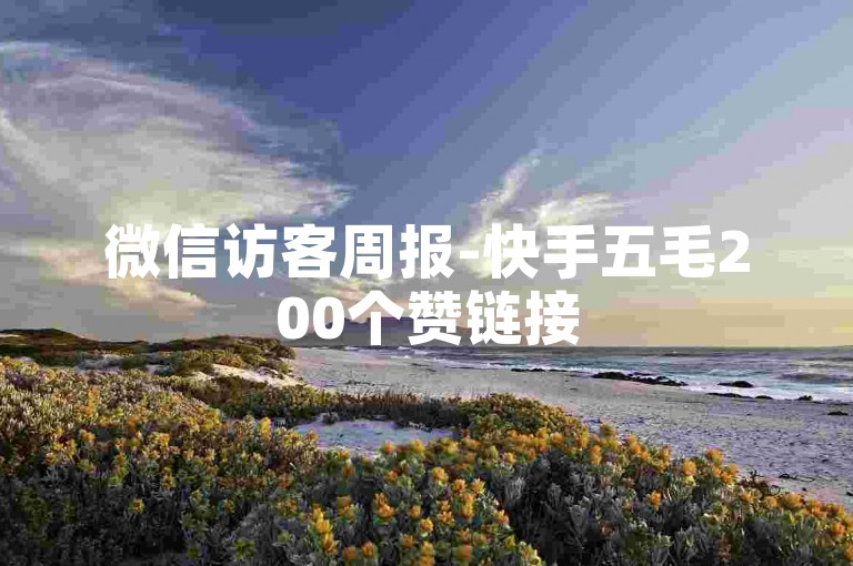 微信访客周报-快手五毛200个赞链接