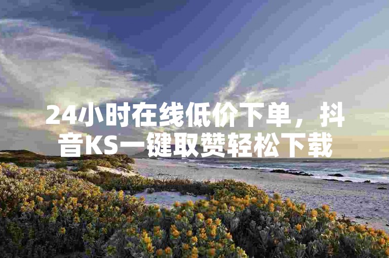 24小时在线低价下单，抖音KS一键取赞轻松下载