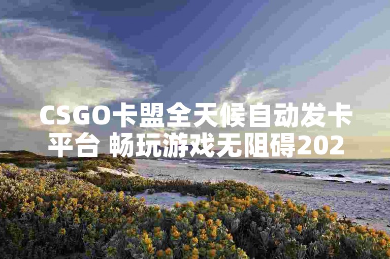 CSGO卡盟全天候自动发卡平台 畅玩游戏无阻碍2025必备！