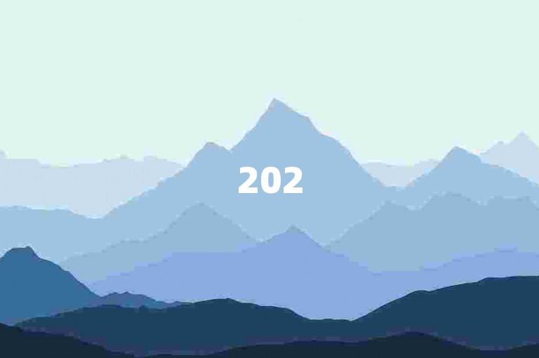 2025 抖音评论点赞 24 小时自助服务全攻略揭秘