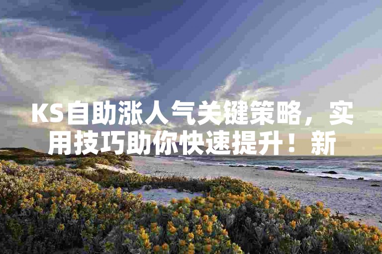 KS自助涨人气关键策略，实用技巧助你快速提升！新手必看！