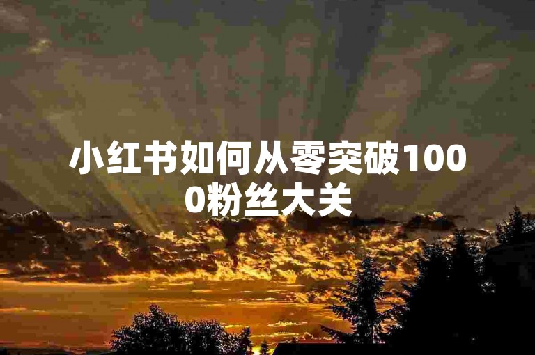 小红书如何从零突破1000粉丝大关