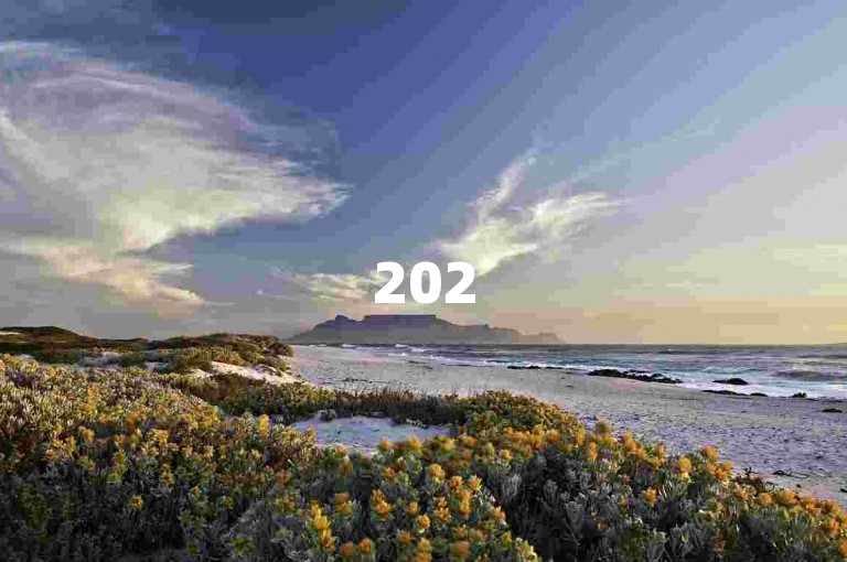 2025必看，小红书万粉号养成秘籍，快速涨粉提升账号影响力！