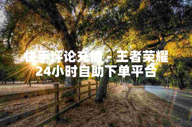 快手评论充值 - 王者荣耀24小时自助下单平台