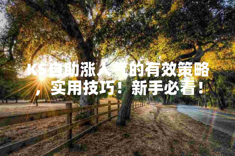KS自助涨人气的有效策略，实用技巧！新手必看！