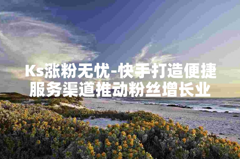 Ks涨粉无忧-快手打造便捷服务渠道推动粉丝增长业务
